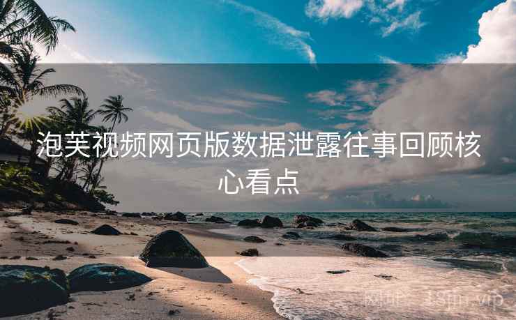 泡芙视频网页版数据泄露往事回顾核心看点