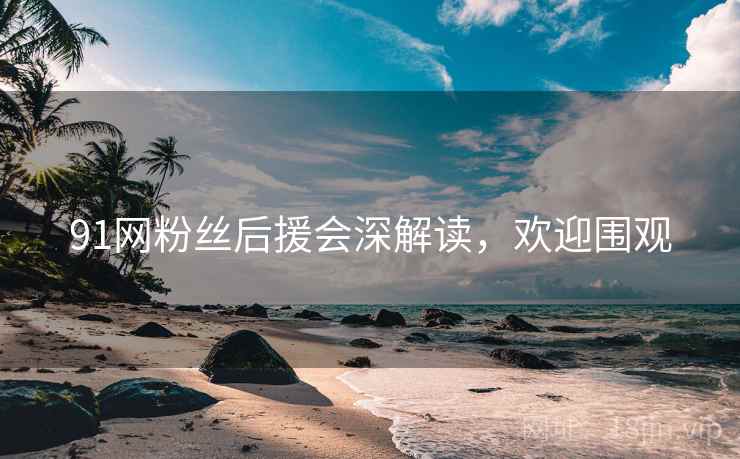 91网粉丝后援会深解读,欢迎围观 91网粉丝后援会深解读,欢迎围观